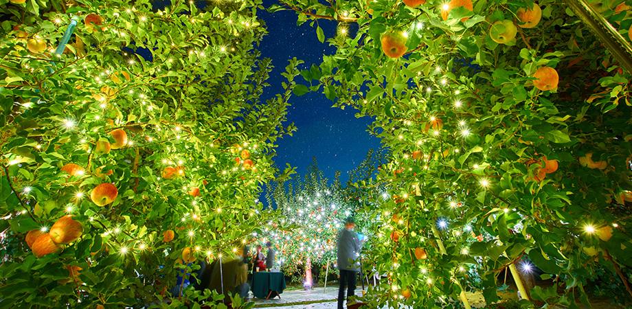 夜の果樹園（期間限定イベント）